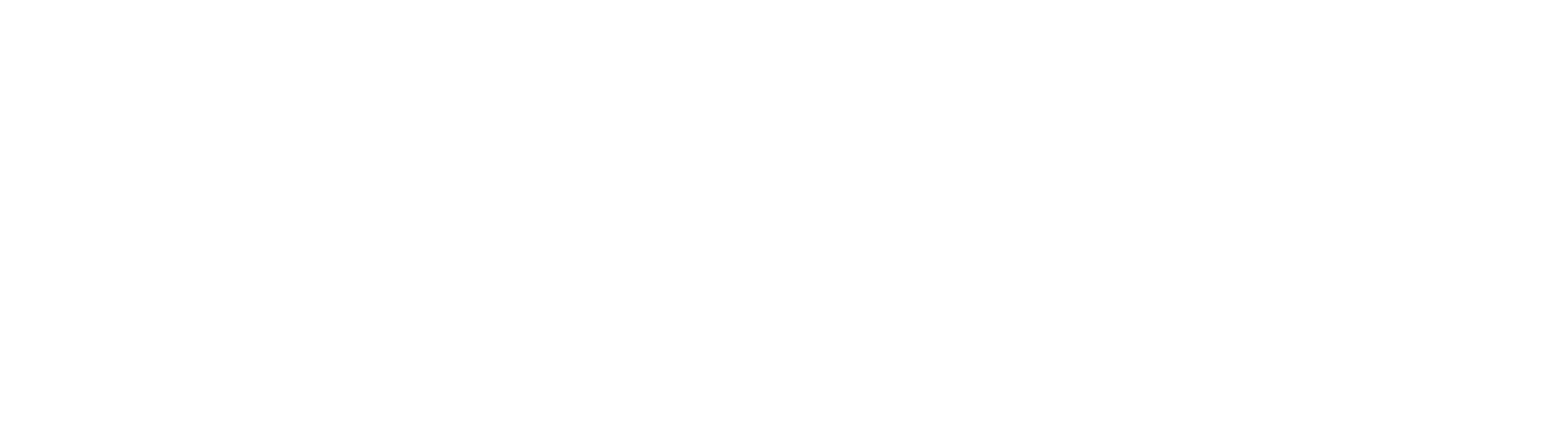 intermedia